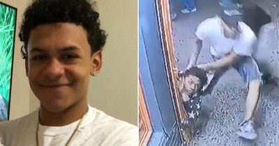 Lesandro Guzman Feliz Wiki, Age, Bio, Family, Height, Profile, Weight, Girlfriend & Facts 2 Lesandro Guzman Feliz Wiki, Age, Net worth, Weight, Bio & Facts