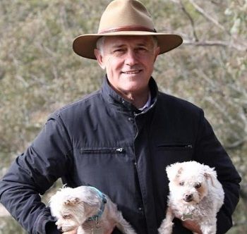 Malcolm Turnbull Age, Wife, Net worth, Biography, Family, Kids & Profile 6 Malcolm Turnbull Age, Wife, Net worth, Bio