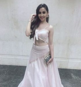 Mrinal K Singh Wiki, Height, Age, Husband, Weight, Family, Caste, Net worth & Facts 5 Mrinal Singh Net worth, Lifestyle Wealth & House