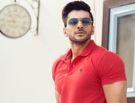 Udit Kapur Wiki (Bigg Boss 12) Height, Weight, Age, Biography, Girlfriend & Family 9 Udit Kapur Wikipedia (Bigg Boss 12)