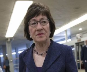 Susan Collins Age, Husband, Net worth, Family, Biography, Kids & More 7 Susan Collins Net worth