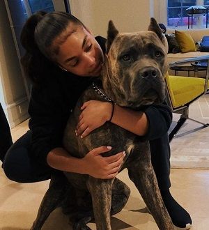 Lori Harvey dog