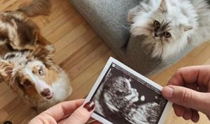 Alicia Moffet Age, Height, Weight, Boyfriend, Biography, Family & More 3 Alicia Moffet Ultrasound Report