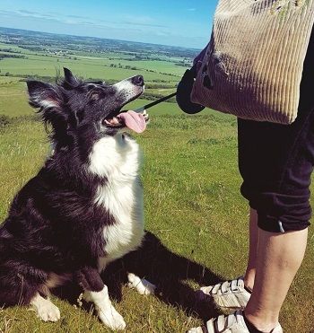 Tanya Reynolds Height, Age, Boyfriend, Biography, Family, Affair & More 8 Tanya Reynolds pet dog