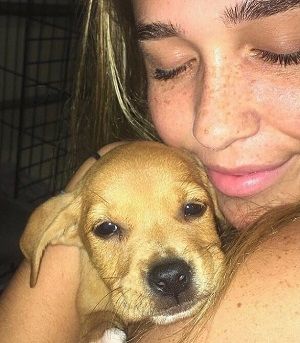 Ariana Biermann Wiki, Age, Boyfriend, Height, Family, Biography & More 12 Ariana Biermann Pet dog