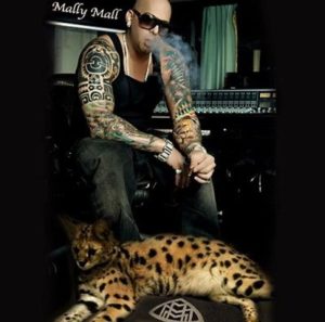 Mally Mall Wiki, Age, Height, Biography, Family, Net worth & Girlfriend 3 Mally Mall arrested after involving in human and animal trafficking
