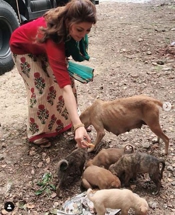 Urvashi Rautela Height, Weight, Age, Husband, Biography, Family & Facts 16 Urvashi Rautela feeding dogs (animal lover)
