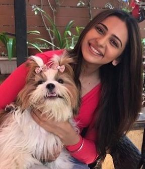 Rakul Preet Singh Height, Weight, Age, Boyfriend, Husband, Biography & More 13 Rakul Preet Singh Pet Dog Candy