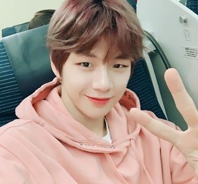 Kang Daniel Height, Weight, Age, Girlfriend, Biography, Family & Facts 4 Kang Daniel wiki and bio