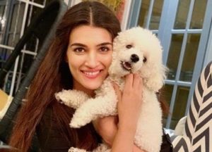 Kriti Sanon Height, Weight, Age, Boyfriend, Husband, Biography & Family 6 Sanon with pet dog Disco