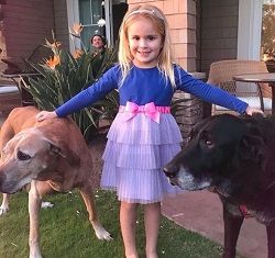 Allison Dunbar Wiki, Age, Height, Weight, Husband, Bio, Family 4 Allison Dunbar's daughter Ernie