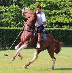 Niels Houweling Wiki, Age (Shiva Safai’s Boyfriend) Bio & Family 5 Niels Houweling playing polo