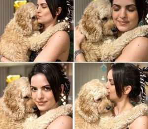 Natasa Stankovic Height, Weight, Age, Boyfriend, Husband, Biography, Family & More 9 Natasa Stankovic with her pet dog Curly