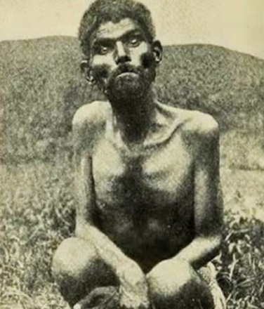 Dina Sanichar's real picture