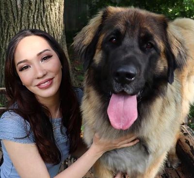 Lauren Chen Wiki, Age, Husband, Height, Weight, Biography & More 12 Lauren Chen pet dog Jellybean
