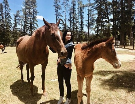 Meganne Young Height, Weight, Age, Boyfriend, Husband, Biography & More 11 Meganne Young love horses