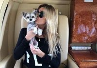 Samantha Hoopes Height, Weight, Age, Husband, Boyfriend, Biography & More 6 Samantha Hoopes With Her Pet Dog