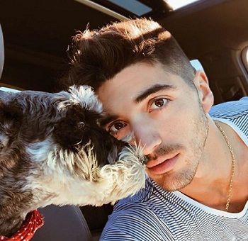 Taylor Zakhar Perez Height, Weight, Age, Girlfriend, Biography & More 14 Taylor Zakhar Perez pet dog Jack