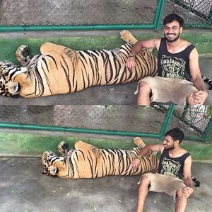 Vaishnav Tej Age, Height, Weight, Wife, Girlfriend, Biography, Family & More 17 Vaishnav Tej with Tiger in Zoo