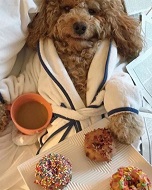 Blaine Trump Height, Weight, Age, Husband, Children, Biography & More 5 Blaine Trump's pet dog