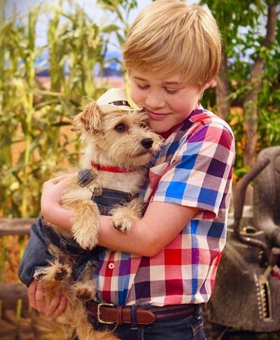 Casey Simpson Height, Weight, Age, Girlfriend, Biography, Family & More 9 Casey Simpson & his dog love