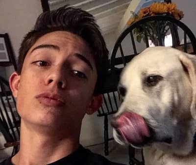 Max Torina (Actor) Age, Height, Weight, Girlfriend, Biography & More 7 Max Torina with his pet dog