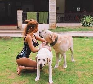 Sakshi Chopra Wiki, Age, Height, Weight, Boyfriend, Biography & More 18 Sakshi Chopra pet dogs