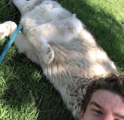 Sean Ryan Fox Height, Weight, Age, Girlfriend, Biography, Family & More 12 Sean Ryan Fox with his pet dog