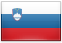 Slovenian