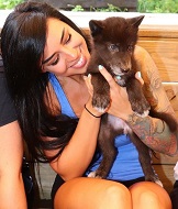Alex Zedra Wiki, Age, Height, Weight, Boyfriend, Family, Biography & Facts 6 Alex Zedra with her pet dog