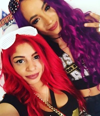 Destiny Fomo Age, Height, Weight, Boyfriend, Biography, Affairs & Facts 6 Destiny Fomo's favorite female Wrestler is Sasha Banks