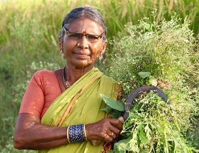Gangavva is best known for her YouTube videos