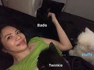 Jenine Desiderio Wiki, Age, Husband, Height, Weight, Family, Biography & Facts 5 Jenine Desiderio with her pet cats