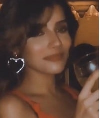 Aditi Hundia Wiki, Age, Boyfriend, Height, Family, Biography & Facts 8 Aditi Hundia drinks alcohol