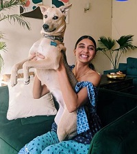 Dolly Singh Age, Height, Weight, Husband, Family, Biography & Facts 7 Dolly Singh with her pet dog