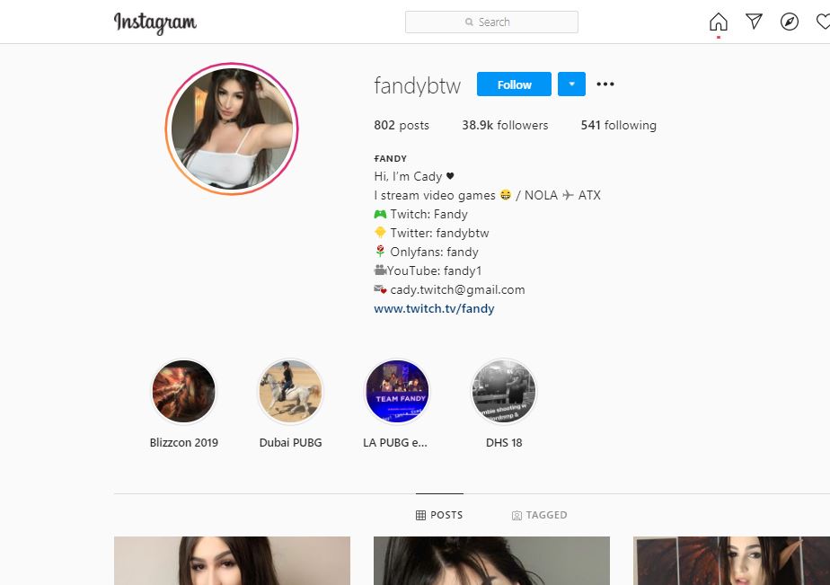 Fandy's IG followers