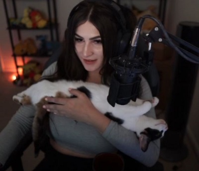 Fandy's pet cat