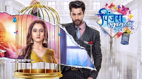 Riya Sharma Wiki (Pinjara: Khubsurti Ka) Age, Height, Weight, Boyfriend, Biography & More 2 Riya Sharma in the show Pinjara Khubsurti Ka