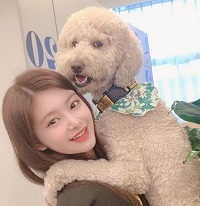 Yiren (Everglow) Height, Weight, Age, Boyfriend, Family, Biography & Facts 6 Yiren has a pet dog