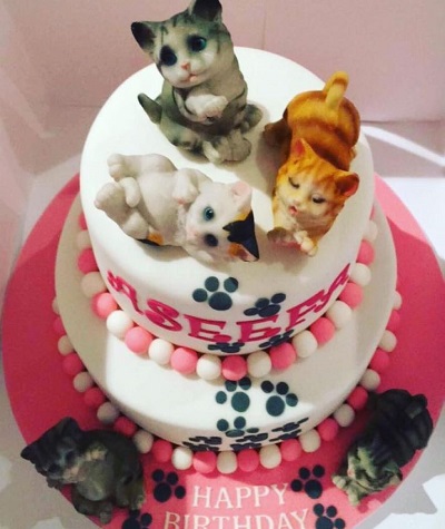Aseefa Bhutto Zardari: Wiki, Age, Husband, Family, Biography & More 21 Aseefa Bhutto Zardari birthday cake