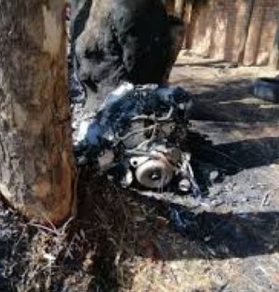Ginimbi Kadungure's dead body was so burnt that it was unrecognizable