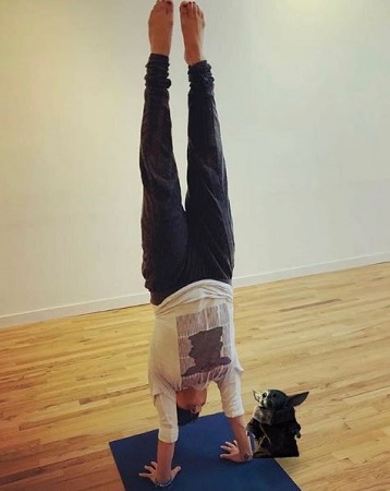 Misty Rosas: Wiki, Age, Husband, Height, Family, Biography & More 17 Misty Rosas doing yoga