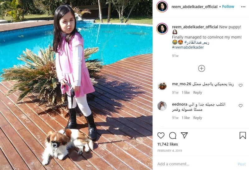 Reem Abd El Kader Wiki, Age, Height, Family, Biography & More 27 Reem Abd El Kader has a pet dog