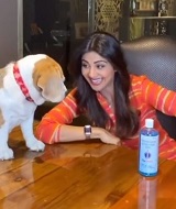 Shilpa Shetty's pet