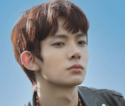 Heeseung Height, Weight & Body Statistics