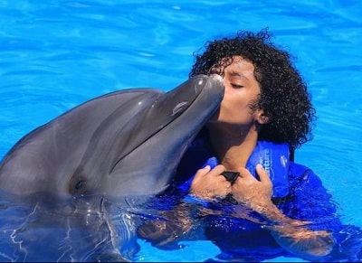 Lyon Daniels: Wiki, Age, Height, Family, Biography & More 12 Lyon Daniels swimming with a Dolphin
