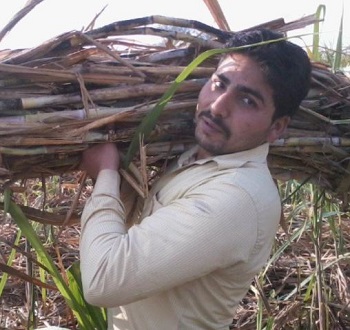 Rakesh Tikait (Farmer Leader) Wiki, Age, Wife, Net worth, Family, Biography & More 14 Charan Singh Tikait