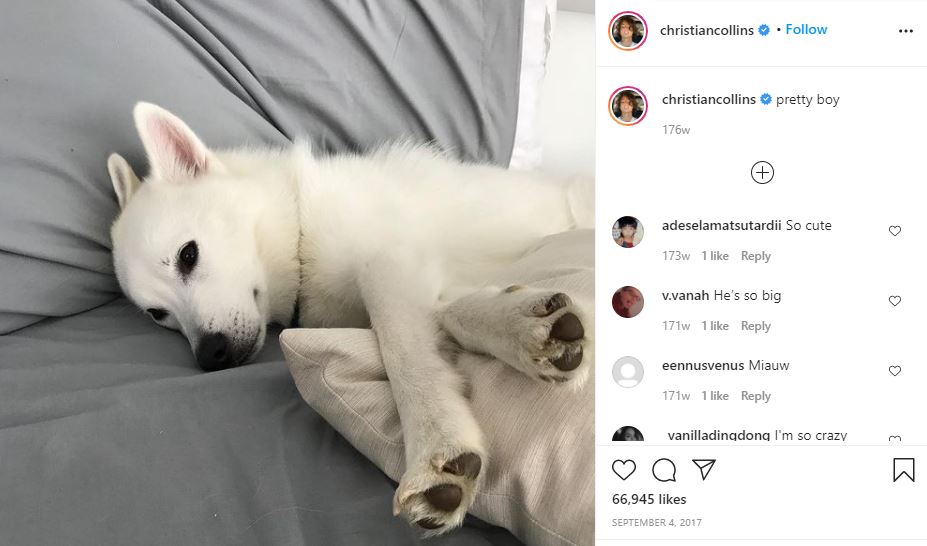 Christian Collins Age, Height, Girlfriend, Net worth, Family, Biography & More 10 Christian is a PET LOVER