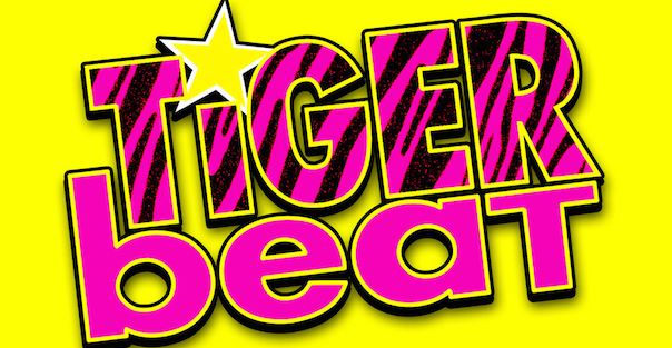 Doreen Lioy worked at Tiger Beat Magazine