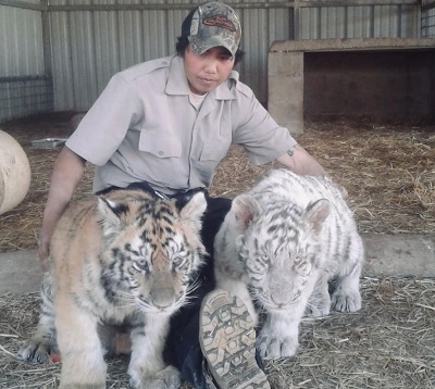 Kelci Saffery Wiki, Age (Tiger King) Biography, Family & Facts 6 Kelci Saffery while working in Joe Exotic's zoo